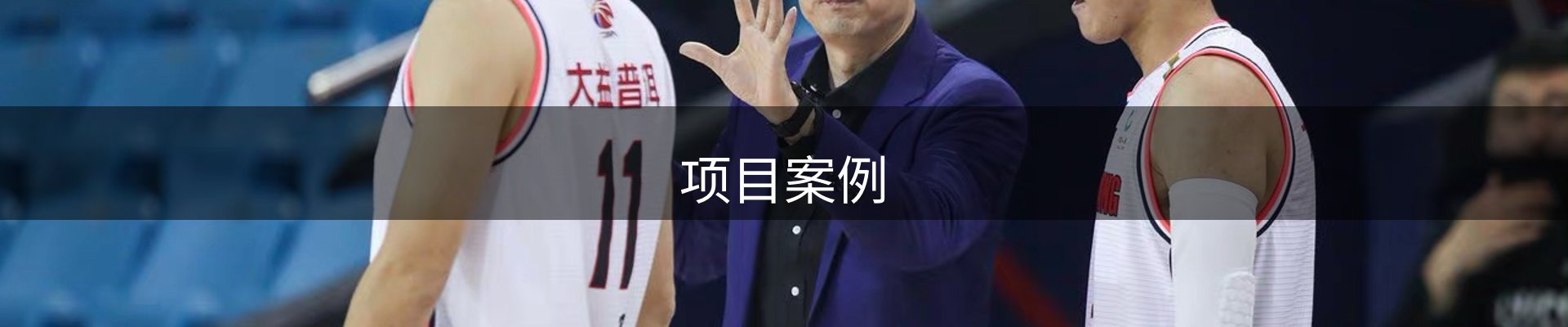项目案例